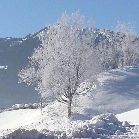 Apartman Gut Maierlehen *